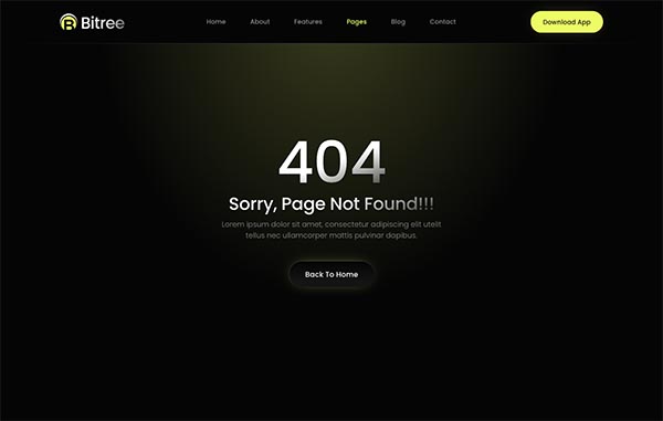 404 Page